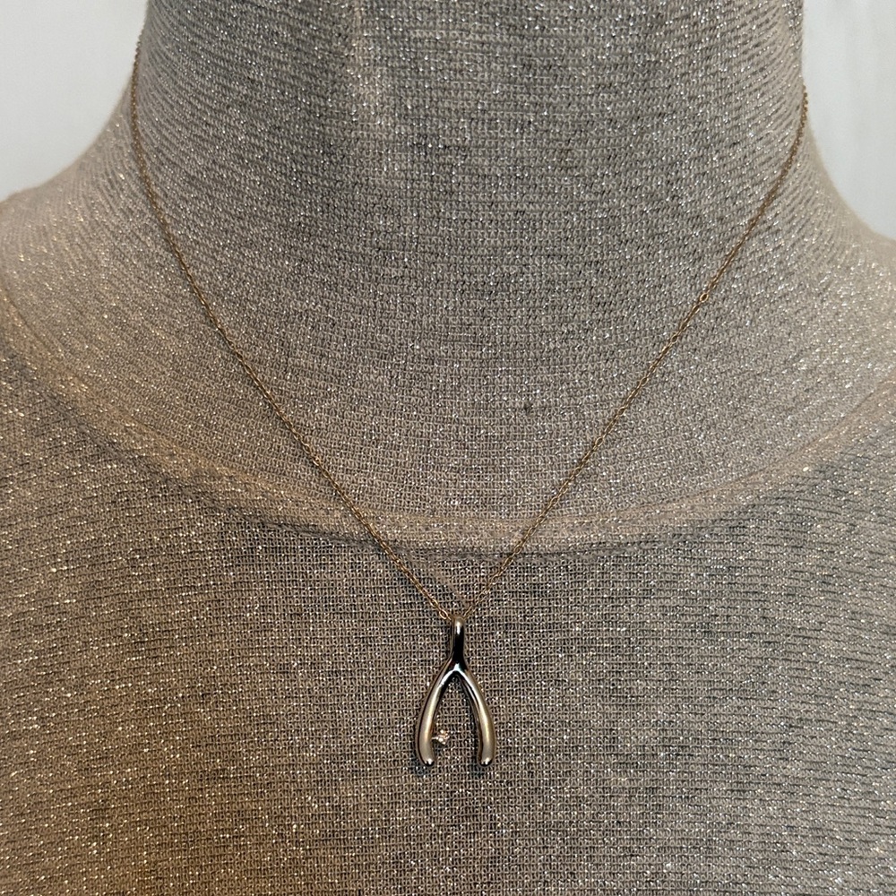 Elegant Silver Wishbone Necklace
